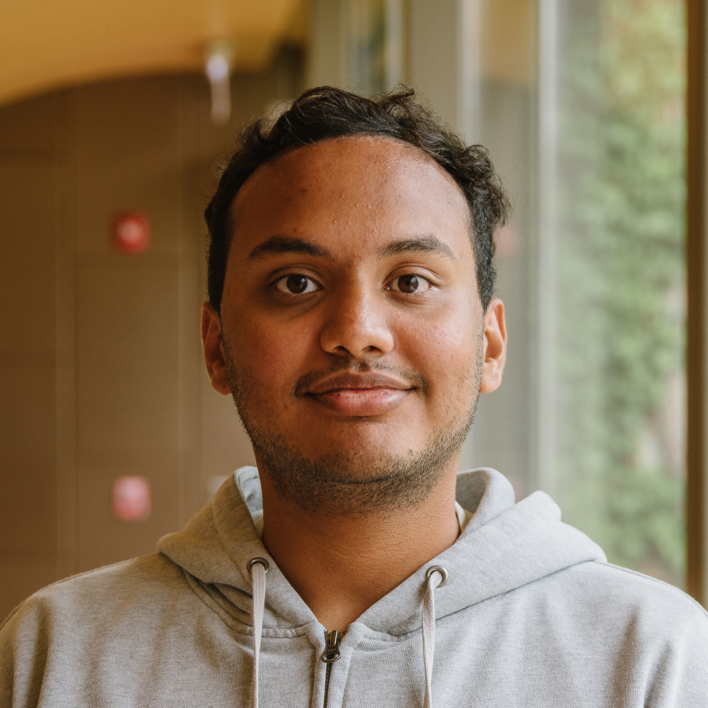 Amedeus Akira Dsouza Web